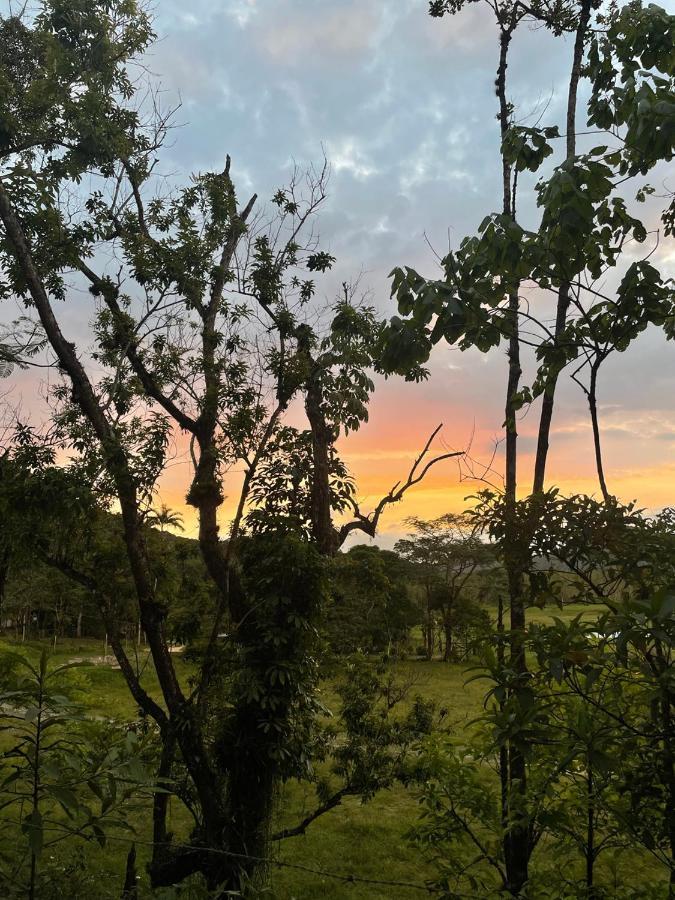 فندق Aldeia De Camburi كامبوري المظهر الخارجي الصورة